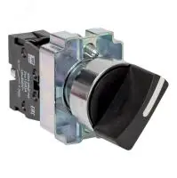 Переключатель BD21 2P короткая ручка NO EKF в Москве Переключатель BD21 2P короткая ручка NO EKF - foto